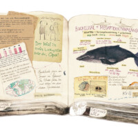 Ben and the Whales - an extraordinary journey, written by Ingrid Mennen, published by NB/Tafelberg, German edition by Kunstanstifter Illustration for Ben and the Whales - an extraordinaty journey