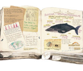 Ben and the Whales - an extraordinary journey, written by Ingrid Mennen, published by NB/Tafelberg, German edition by Kunstanstifter Illustration for Ben and the Whales - an extraordinaty journey